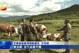 王志根：平凡岗位显担当 农民群众贴心人图片
