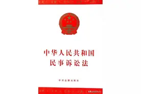 民事诉讼中“二审”和“再审”的相关解释图片