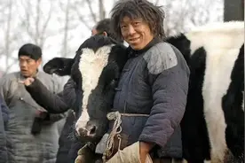 喜剧影帝们的神级演技图片