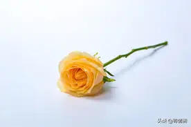 离婚5个月后，前妻理直气壮找上门：我弟要买房，你给30万首付图片