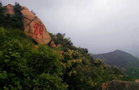 信阳十大好玩的旅游景点，一起来看看吧！