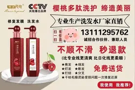 2021年中考复习策略与建议（语文）图片