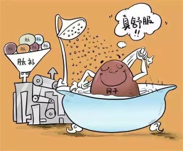 小分子肽对肝脏有调理作用吗 2024年最新小分子肽对肝脏有调理作用吗