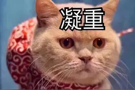 微信又更新：“秀恩爱红包”上线图片