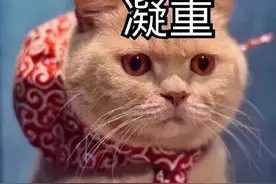 微信又更新：“秀恩爱红包”上线图片