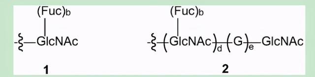 多项授权合作，Synaffix公司ADC专利技术解析