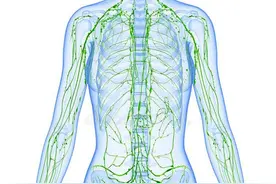 #健康科普汇# 【7个部位淋巴结异常，当心是病】图片