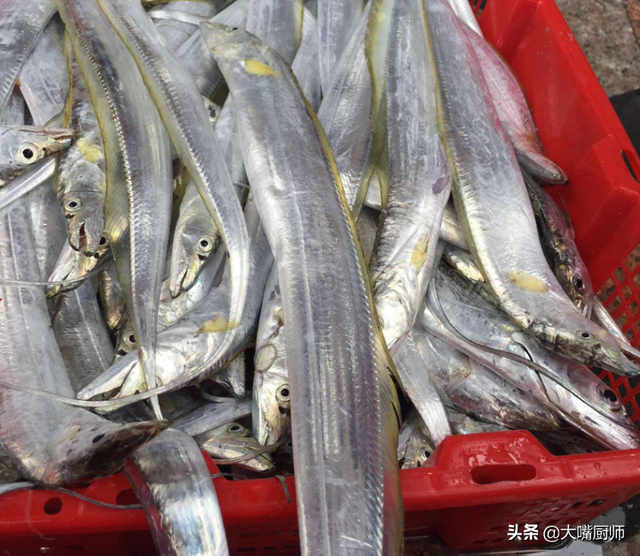 都是带鱼，为啥有的一斤10元，有的300元？老渔民告诉你差在哪儿