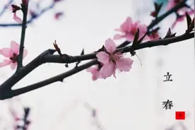 农村俗语“春打五九尾，来年冻死鬼”是啥意思？明年啥时候立春？图片