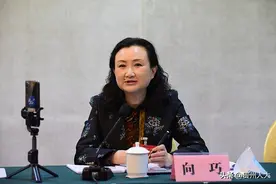 向巧代表：给予贵州原来的三线企业更多的支持图片