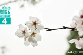 早安！新闻来了！（2021.03.04）图片