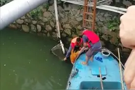 越秀区一女子跳下浅水河涌，民警消防救援上岸图片