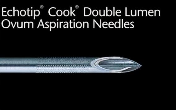 取卵后喝板栗花胶乌鸡汤吗 取卵后喝板栗花胶乌鸡汤吗有影响吗