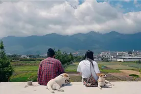 我生命中最特殊的伴侣图片