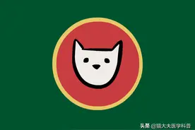 孩子会说话了，自闭症就好了吗？图片
