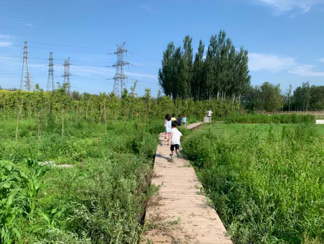 秋日农场嗨玩！露营野餐，种菜摘果，过向往的田园生活