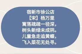 四年级下册语文第一课《古诗三首》思维导图，帮助孩子学习导图图片