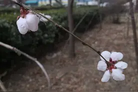 屁大点事儿图片