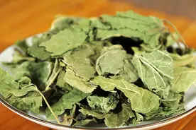 桑叶茶简单自制方法，只需3步，1分钟学会，常喝桑叶茶营养好处多图片