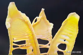 笋干想要“晒不黑”，记住这4个小秘诀，跟新鲜的一样，随吃随取图片