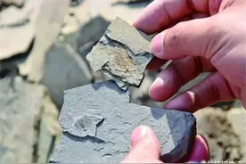 一只沉睡42000年的生物，如今被人类唤醒，是好还是坏？图片