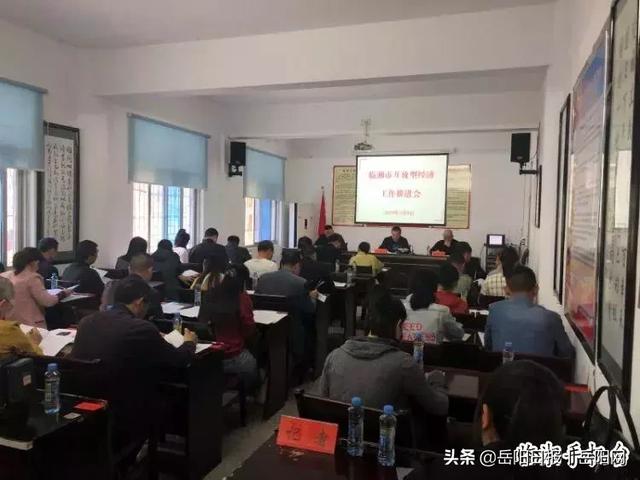 临湘seo快速排名（同比增长51％）