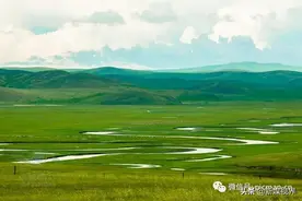 满网都说呼伦贝尔是世界四大草原之一，这些数据颠覆你的认知图片