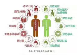 肠道健康才是真的健康！改善肠道健康的秘诀是什么？图片