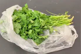 香菜别再放冰箱储存了，教你一招，1个夏天新鲜翠绿，小妙招实用图片