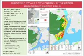 湾仔口岸及周边地区控规批后出炉！27所学校！人行隧道至澳门图片