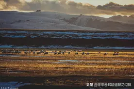 为什么没有去巴音布鲁克景区看“网红日落”，我们却不觉得遗憾？图片