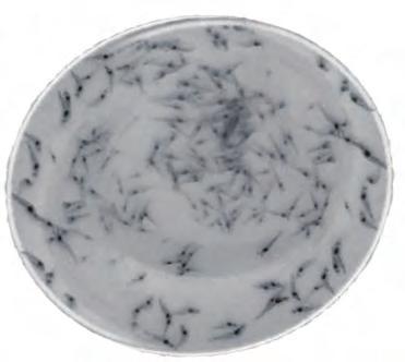 鲁北地区地上淡水池南美白对虾虾苗标粗技术