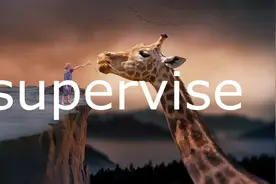 每日单词：supervise图片