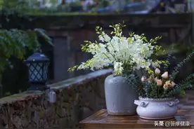 阳虚难过寒冬，简单补阳4步法，提升阳气，还你身体小火苗图片