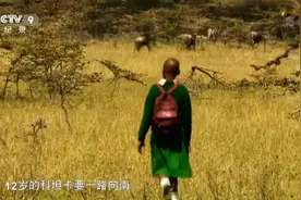 非洲小孩艰难的上学路：每天都在赌命，要是没回家就是被狮子吃了图片