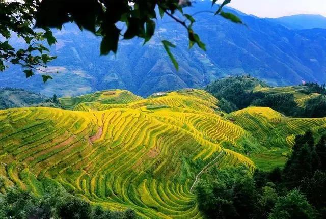 2025年10月30日 第48页