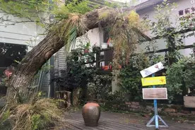 武汉闹市深处隐藏着一个北京798，曾经废旧工厂，如今美女如云图片