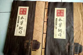 李时珍眼里的“长寿之物”，养心血，滋五脏，明目益精，轻身延年图片