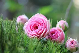 人啊，别什么事都发朋友圈图片