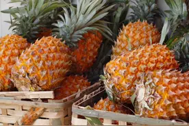 买菠萝，选大的选小的都不对！牢记3个技巧，菠萝香甜饱满汁水多图片