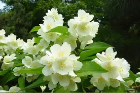 几句话带你快速了解十二星座的典型特点，挺准图片