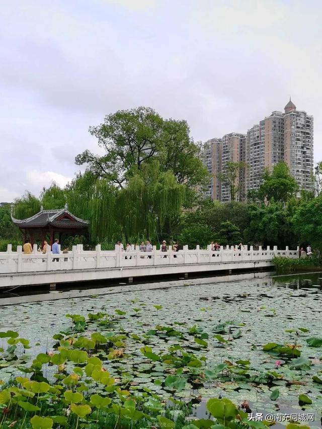 南充北湖公园的前世今生