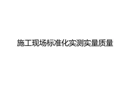 施工现场标准化实测实量，可下载图片