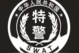 帅！全国公安特警标志臂章图集图片