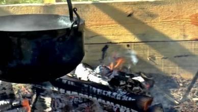 高效饲料添加剂：用猪毛、鸡毛、人毛、A3分解醇制作快速育肥技术