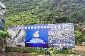 【灵秀钟山 水墨画廊】有吃有玩！钟山这个自治区休闲农业与乡村旅游示范点，宛如世外桃源...图片