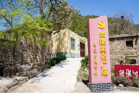 河南安阳：1010年的古树被列为一级保护，村民尊称树神爷图片