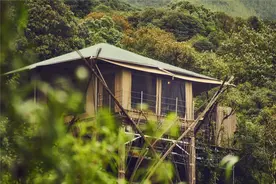 康藤·高黎贡帐篷营地：树梢上的自然栖居地图片