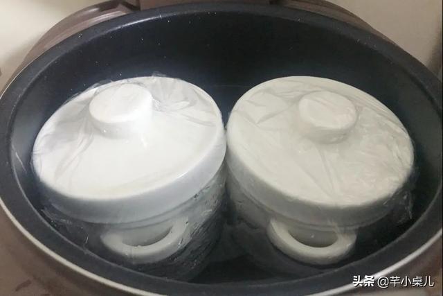 养生壶怎么做花胶 2026年养生壶怎么做花胶视频