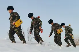 雪原“狙击手”图片